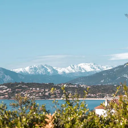 Ghiatone Pietrosella