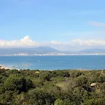Ghiatone Pietrosella