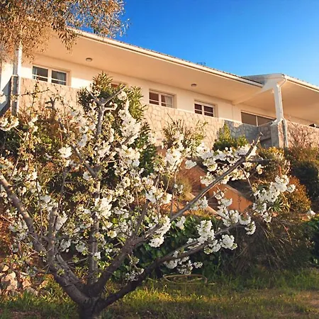 Ghiatone Bed & Breakfast *