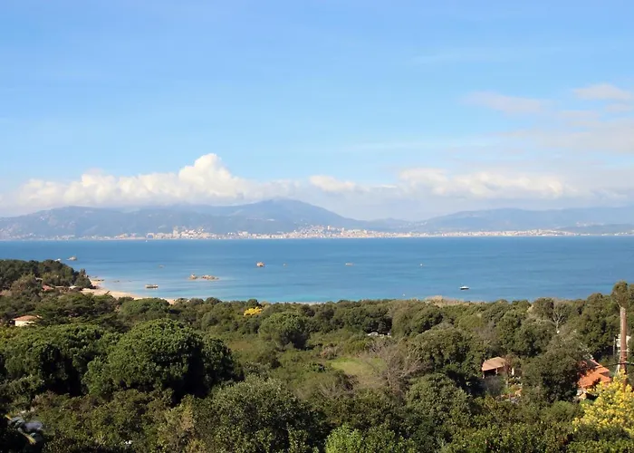 Ghiatone Pietrosella