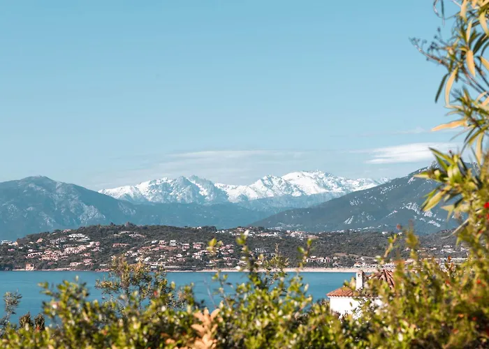 Ghiatone Pietrosella